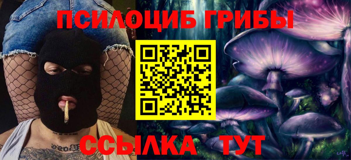 Северск  Галлюциногенные грибы Magic Shrooms  что такое   Вход с VPN  Псилоцибиновые грибы Psilocybe 